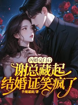 闪婚豪门engelchen第30章